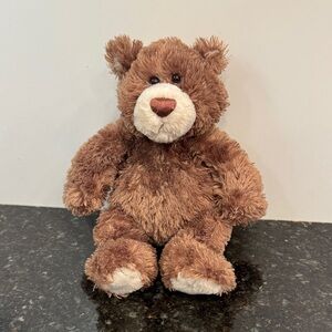GUND CASEY Teddy Bear 12" BROWN  *Limited Edition* Retired!